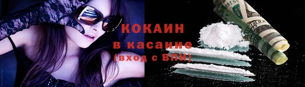 шишки Белокуриха
