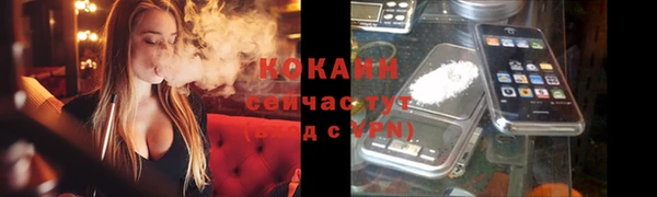 шишки Белокуриха