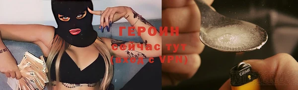 шишки Белокуриха