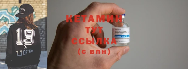 шишки Белокуриха