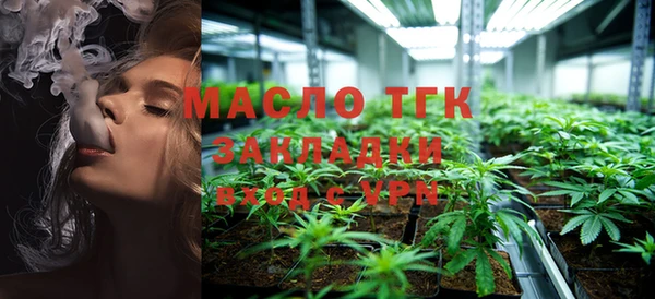 шишки Белокуриха