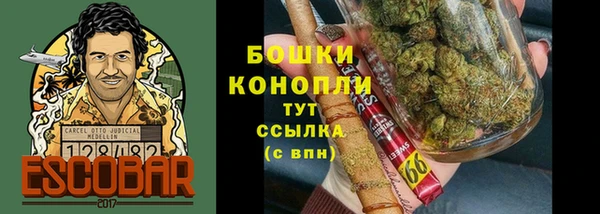 гидра Беломорск