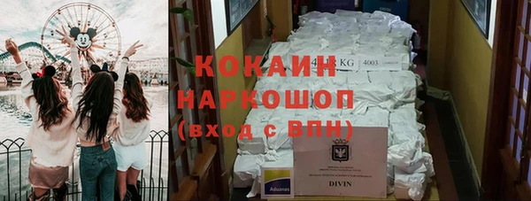 шишки Белокуриха