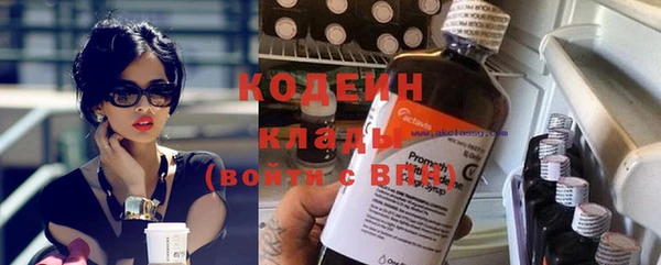 шишки Белокуриха