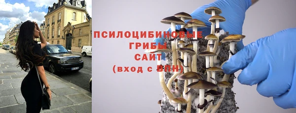 гидра Беломорск