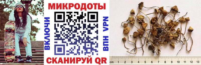 Галлюциногенные грибы мицелий  Острогожск 